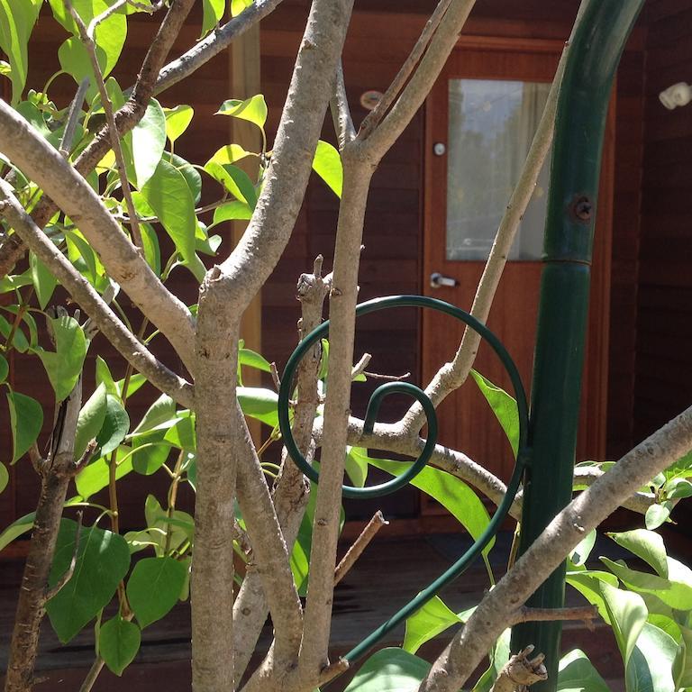 The Cook Cottage Canberra Exterior foto